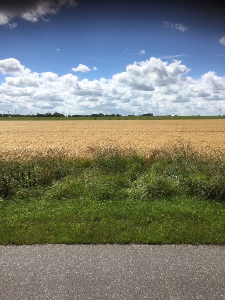 Landschaft Ostfriesland