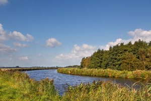 arrangement-bootstour