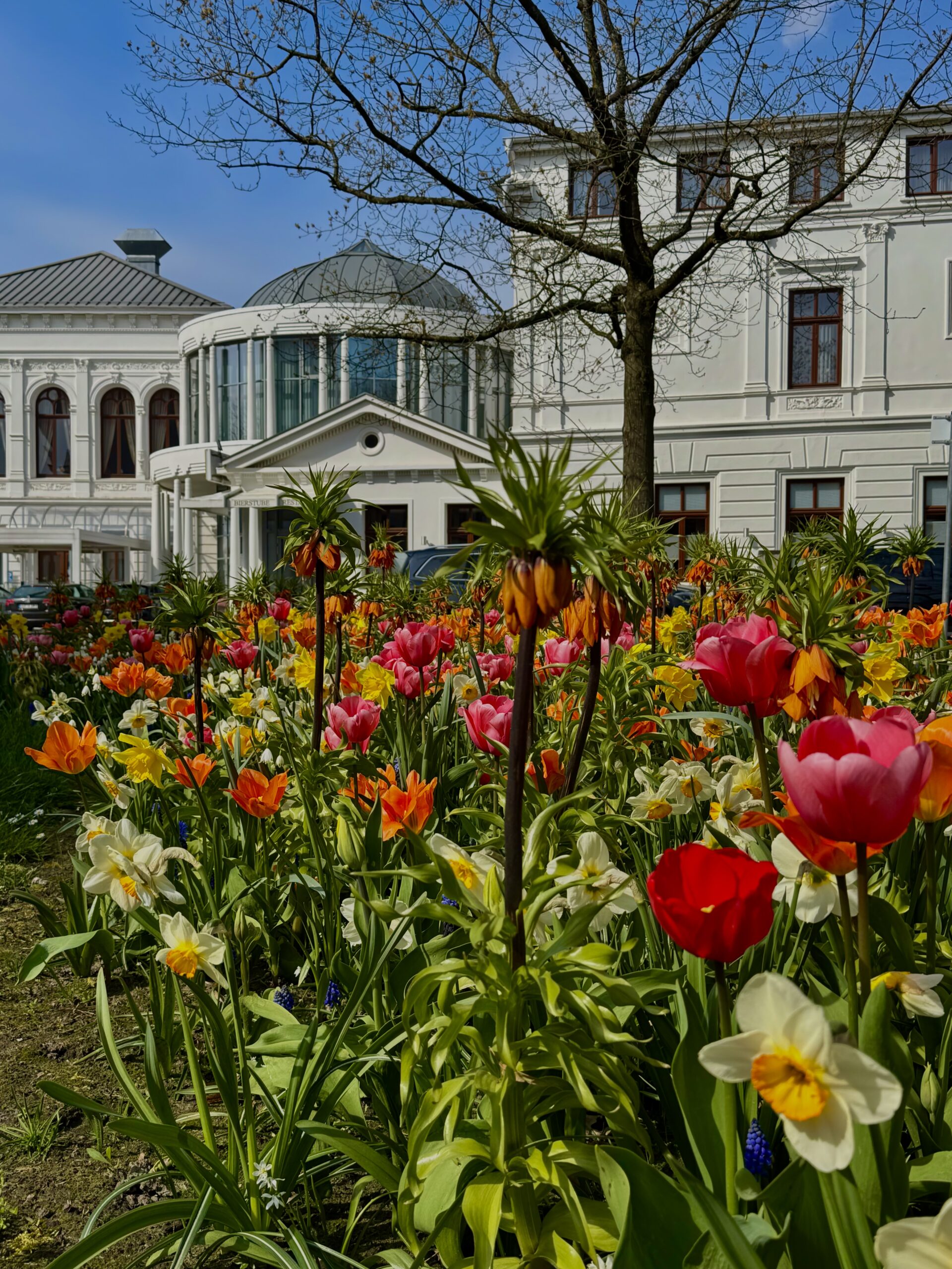 Hotel mit Frühlingsblumen