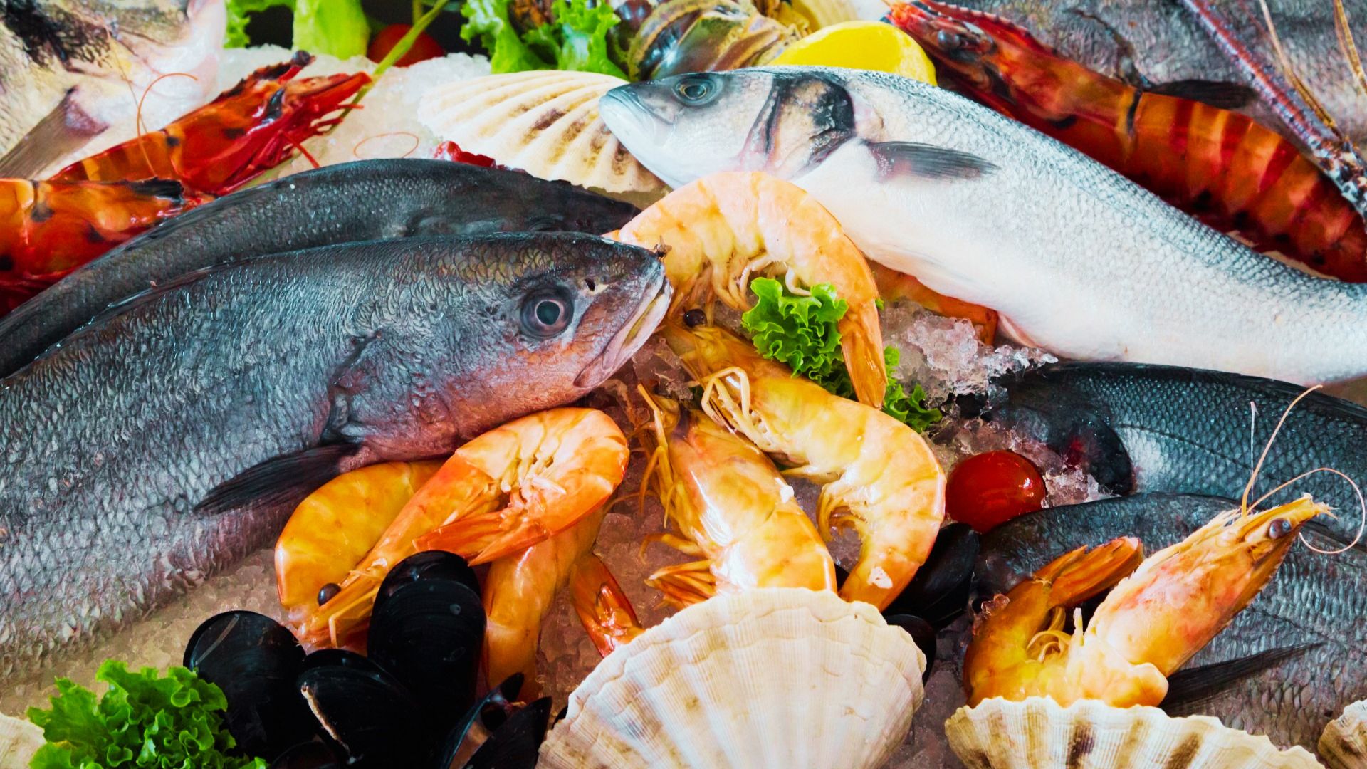 Nordsee-Buffet Homepage