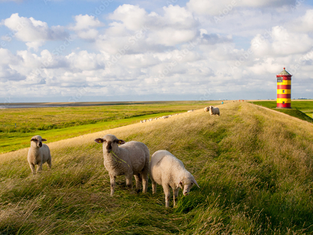 schlosshotel-dummy-region